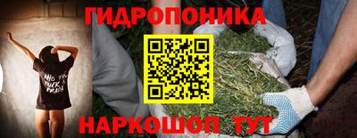 шишки Ливны