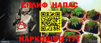бошки Ликино-Дулёво
