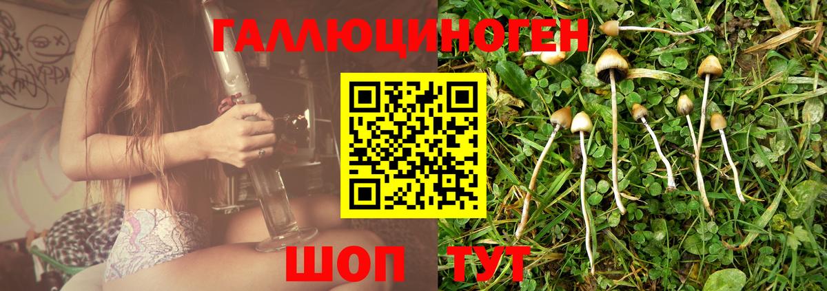 Псилоцибиновые грибы MAGIC MUSHROOMS Губкин